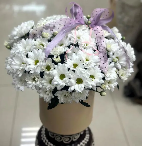 Ромашковый рай