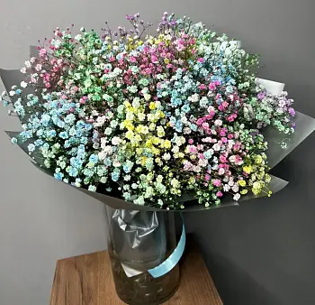 Радуга из гипсофилы