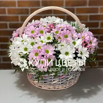 Королевский Шарм