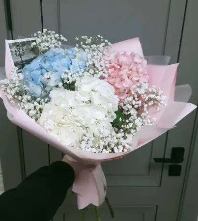 Воплощение мечты