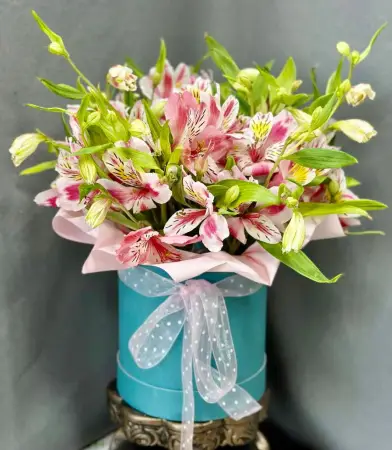 Мир в розовом цвете